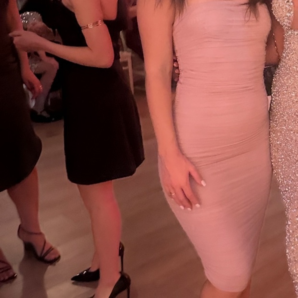 Babaton Pink Dress
